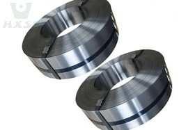Stainless Steel Strip