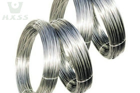 Stainlesss steel wire