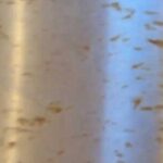 304 stainless steel rust