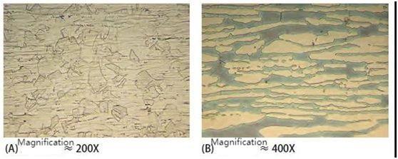 Austenite grains, 316L stainless steel, 2205 duplex stainless steel