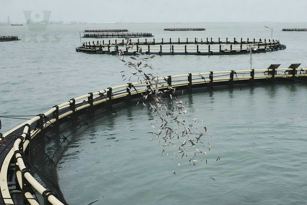 Marine Aquaculture Facilities